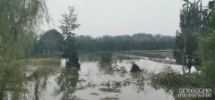 直击山西暴雨洪涝：河津十多万亩农田被淹、村民盼望洪水早日退去